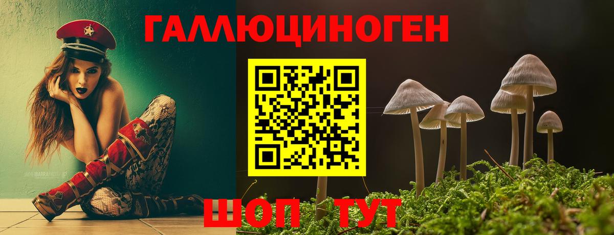 Псилоцибиновые грибы Psilocybine cubensis Еманжелинск